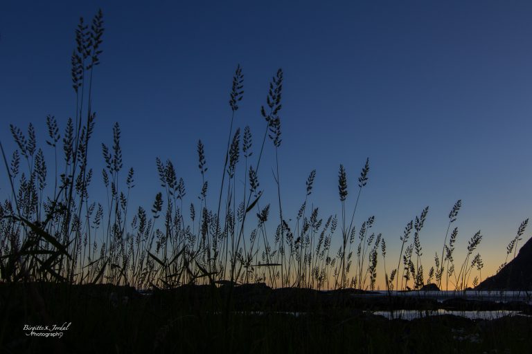 Telttur i vakre Norge