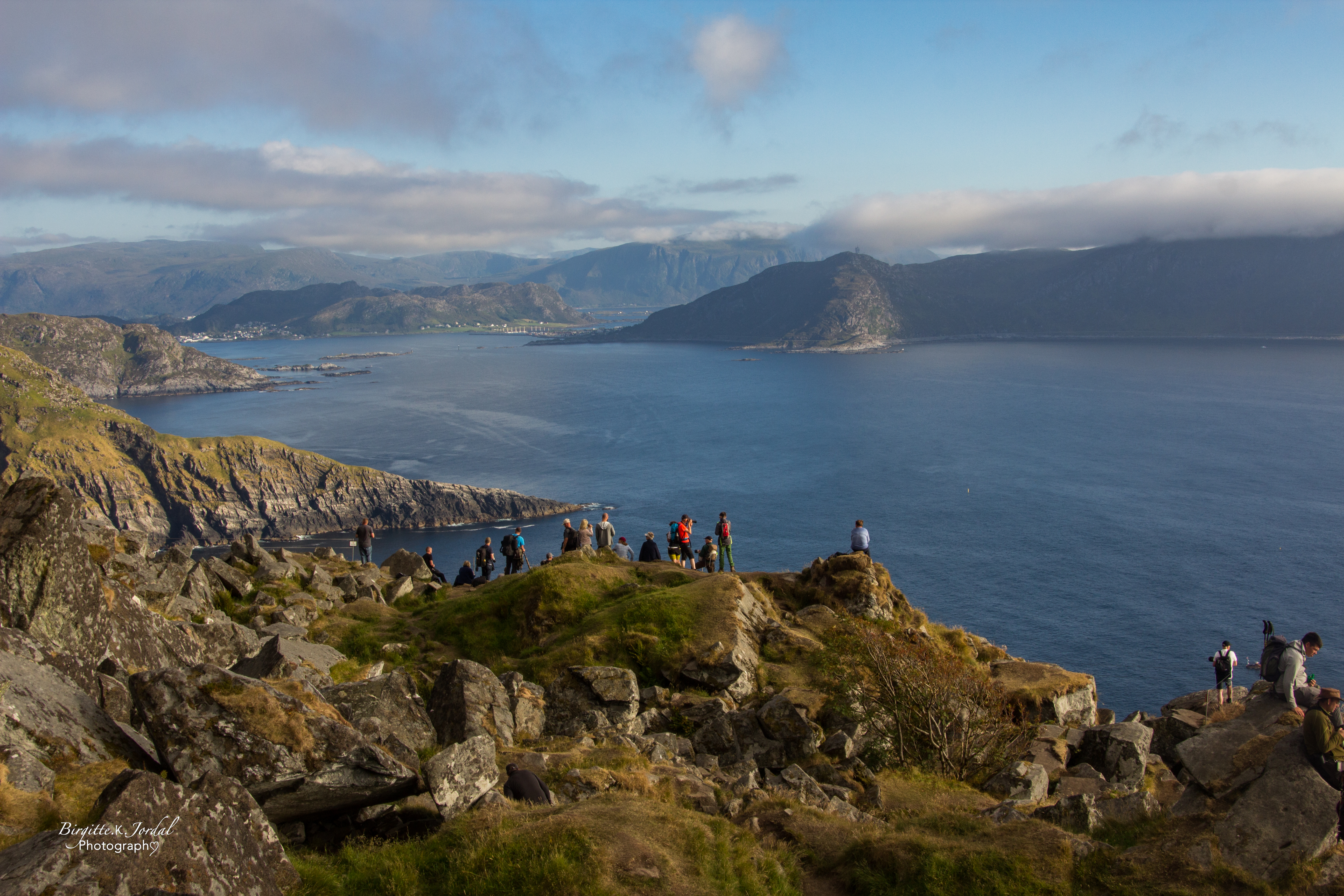 lundefugl-7632.jpg