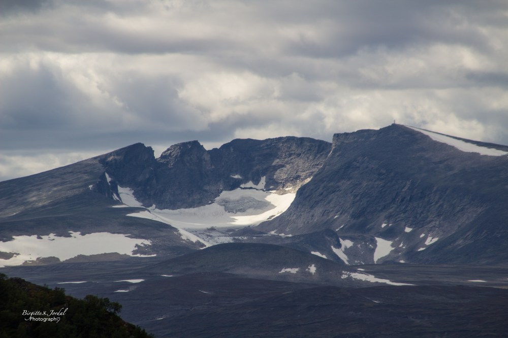 dovrefjell-9281
