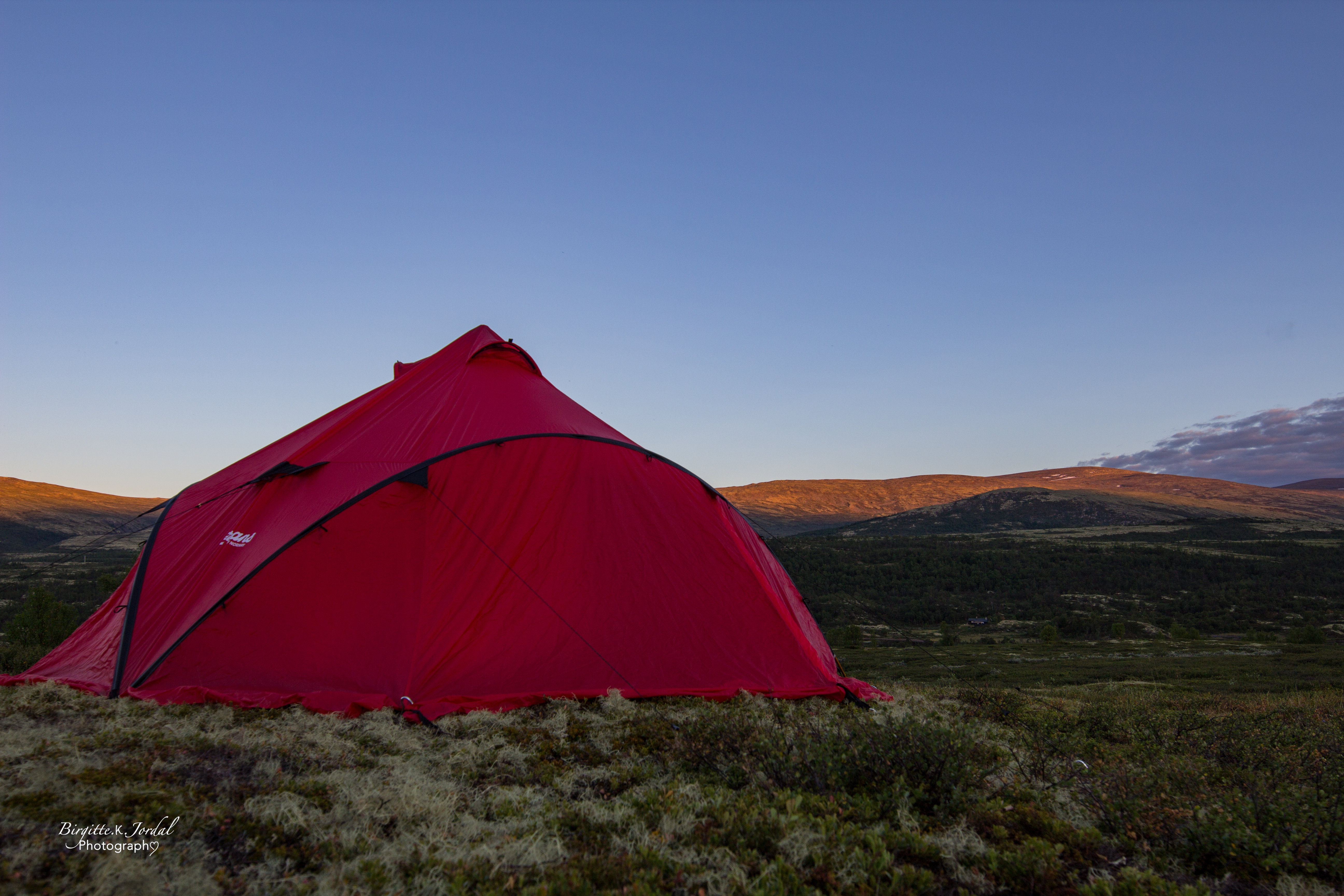 dovrefjell-9294